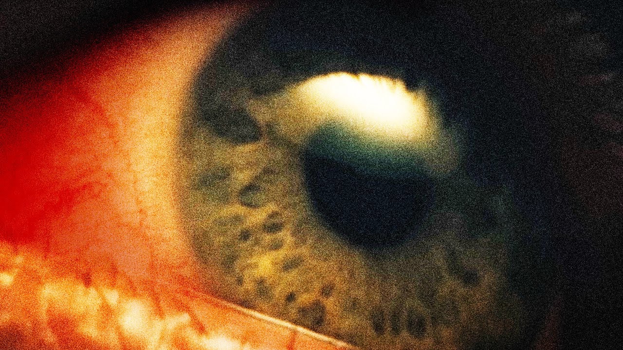 Metamorphosis Podcast